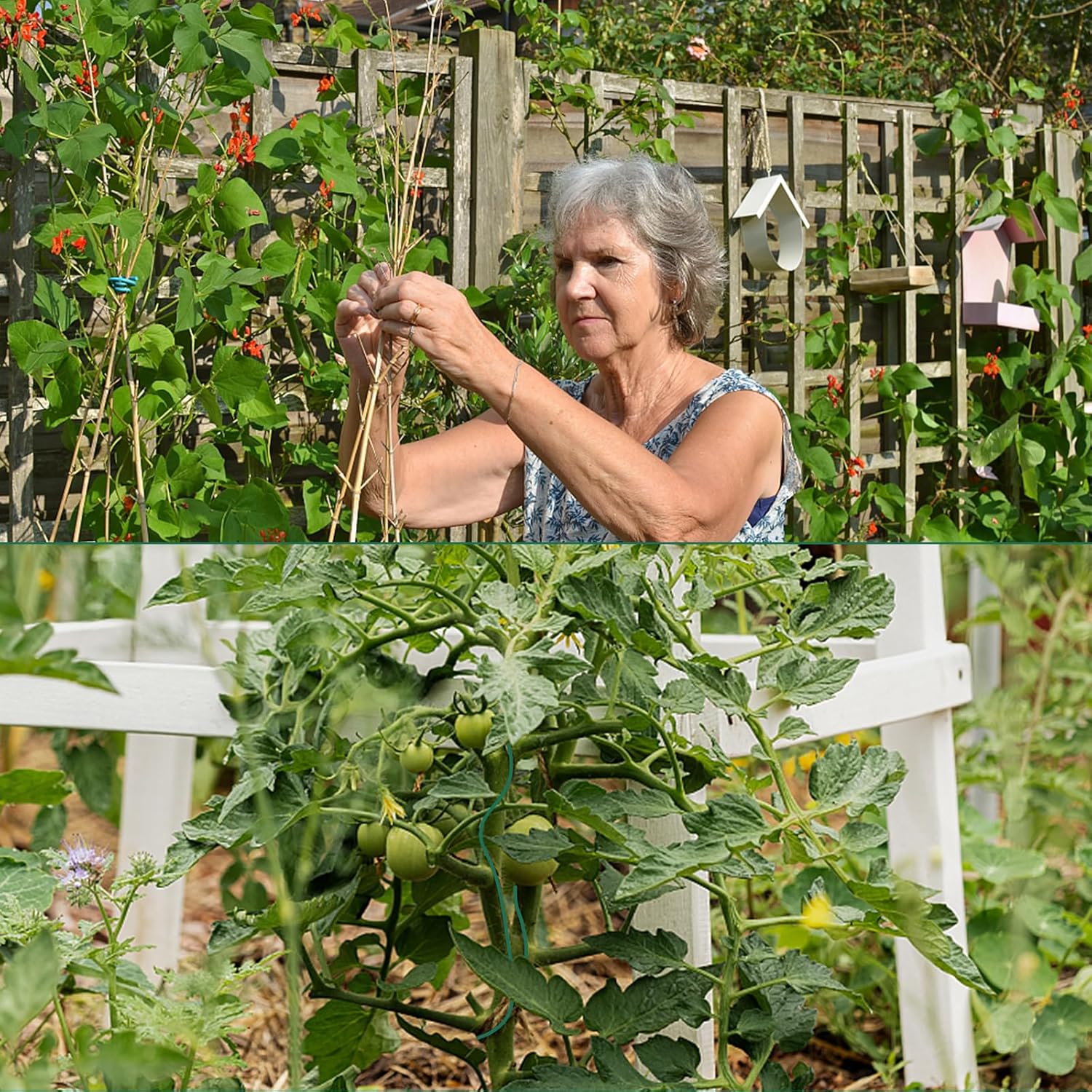 "YDSL 100ft Soft Plant Ties, 3-Pack (2.5mm)"