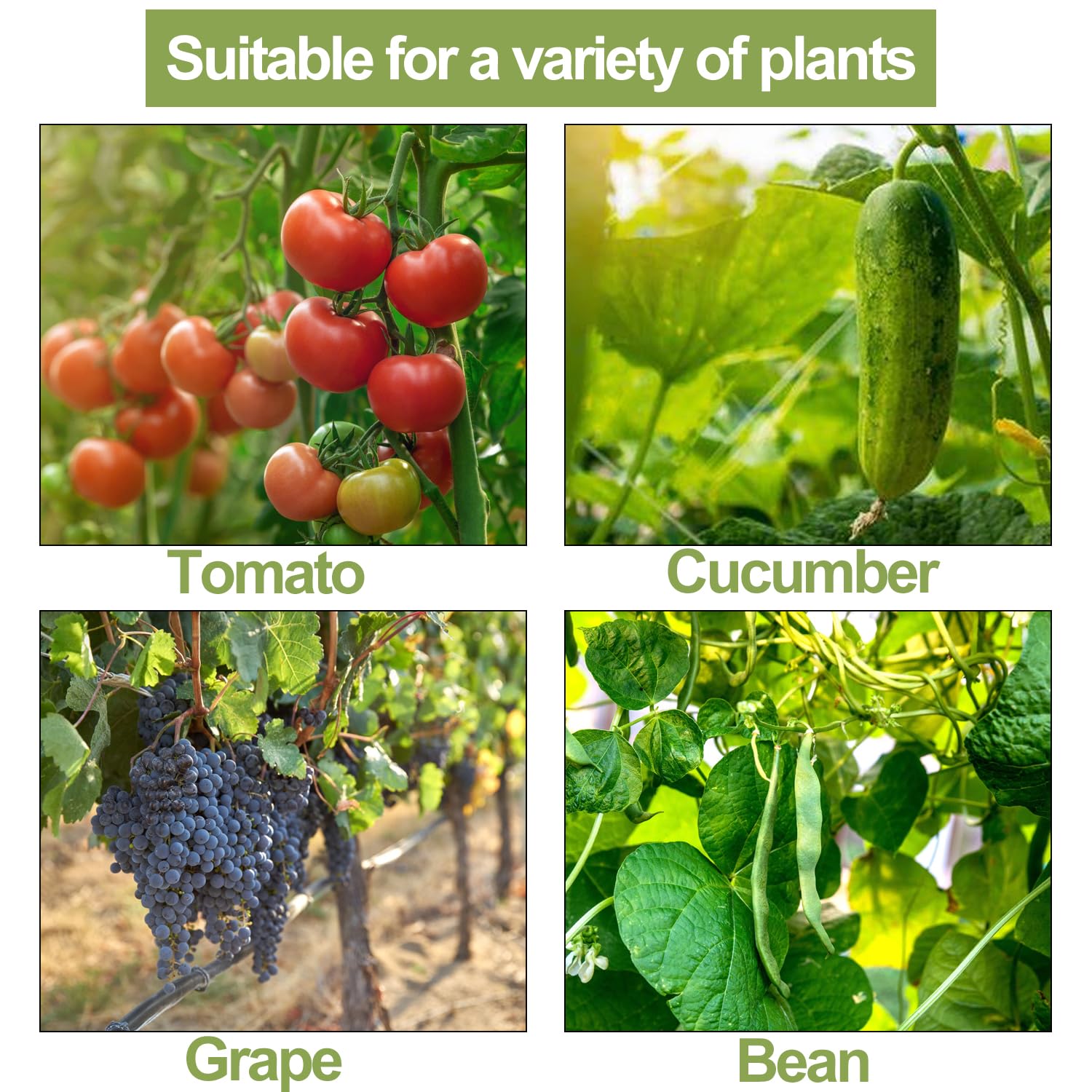 “40 Pack Tomato Roller Hooks Trellis Kit”