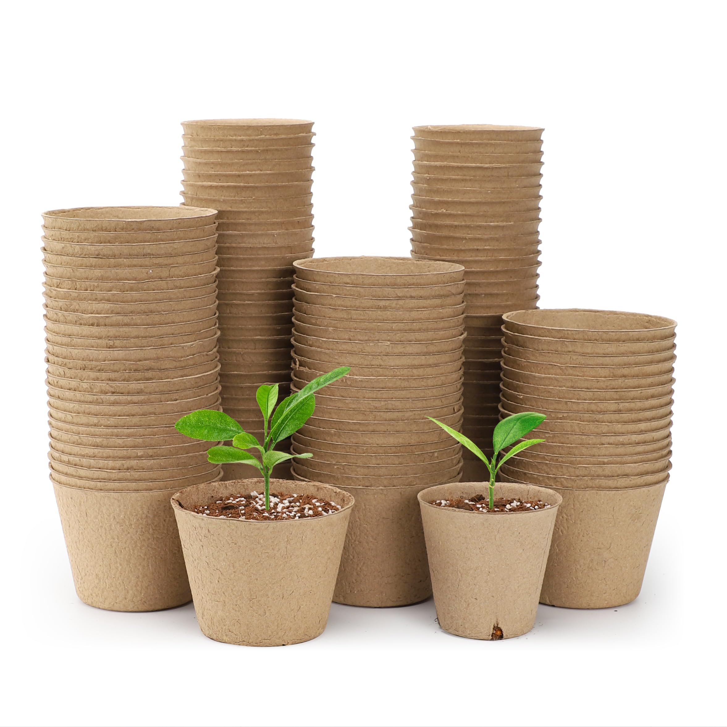 "30-Pack Clear Nursery Pots with Drainage"