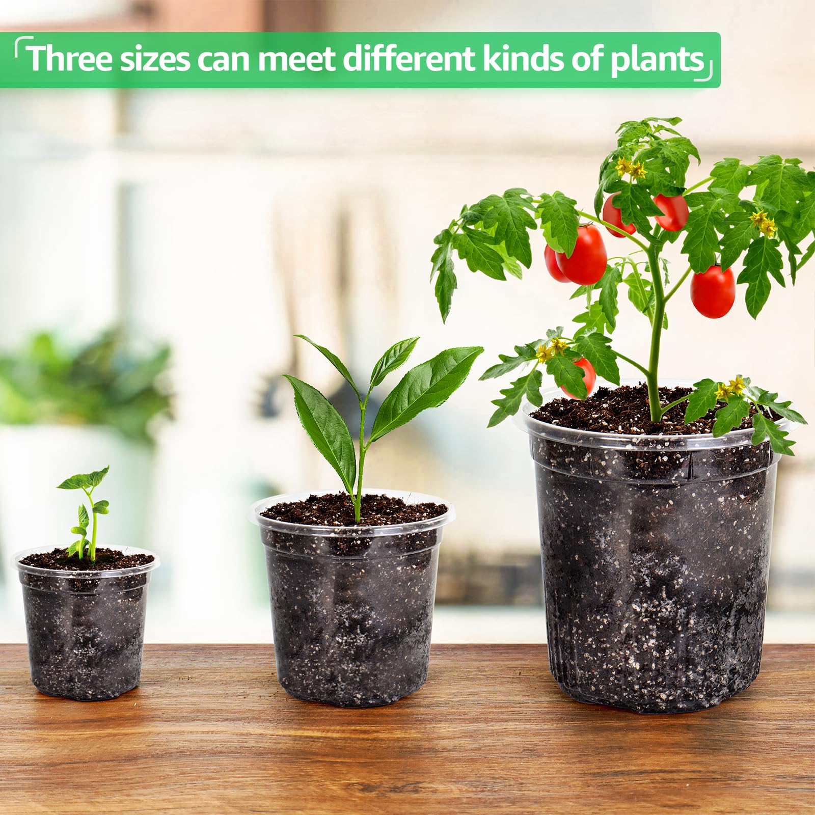 "30-Pack Clear Nursery Pots with Drainage"