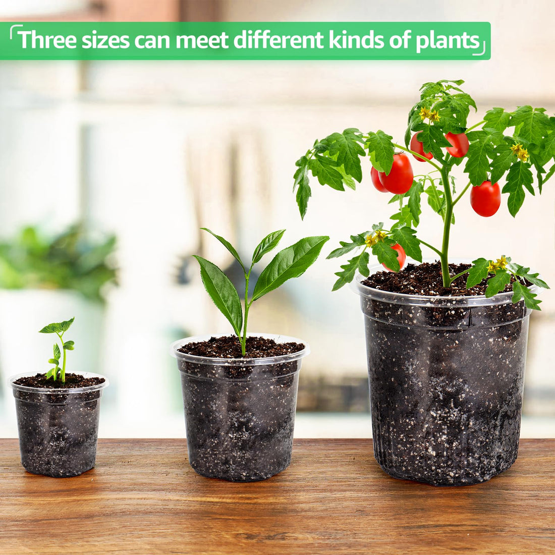 "30-Pack Clear Nursery Pots with Drainage"