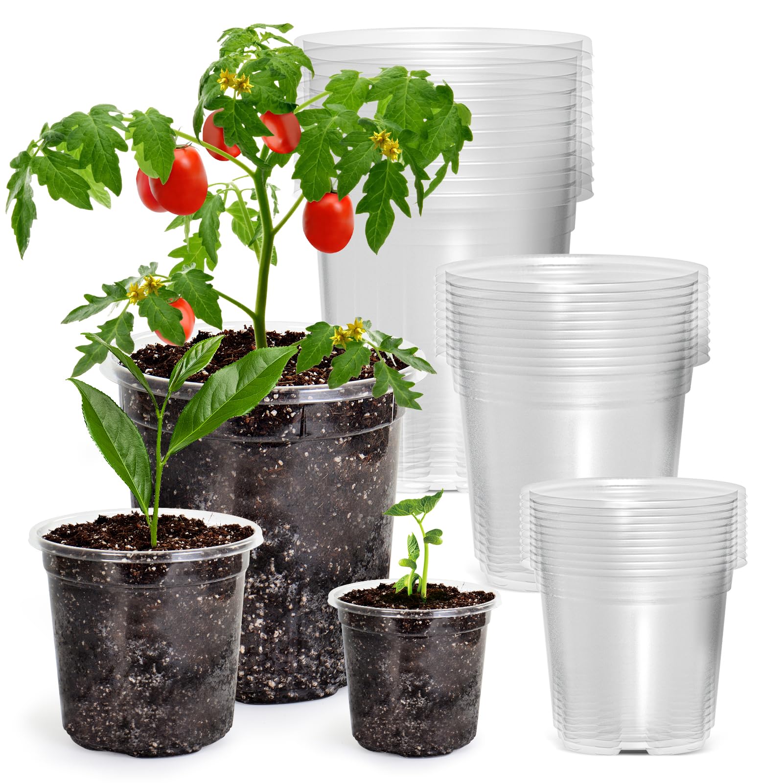 "30-Pack Clear Nursery Pots with Drainage"