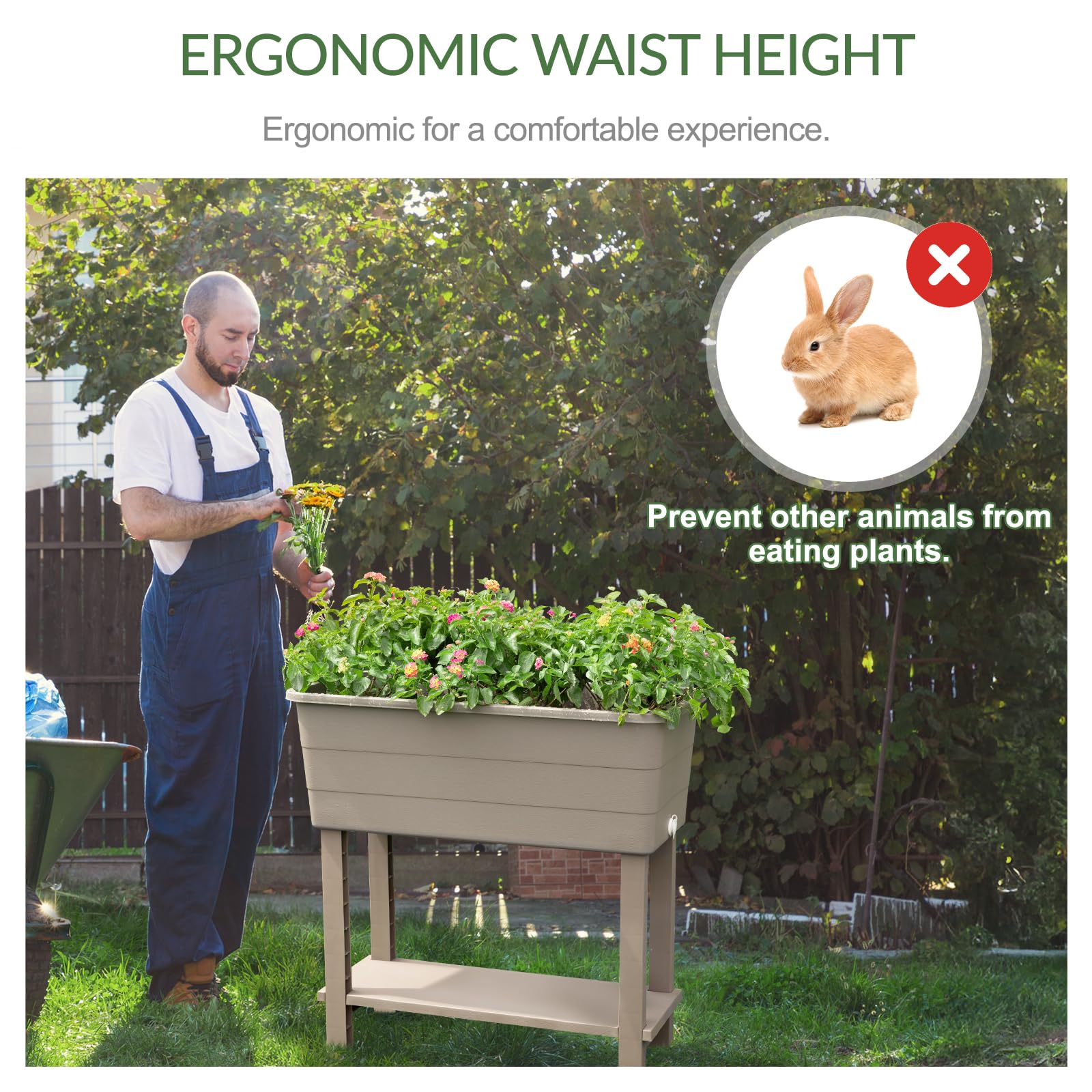 Aoodor Raised Planter Box Set of 3