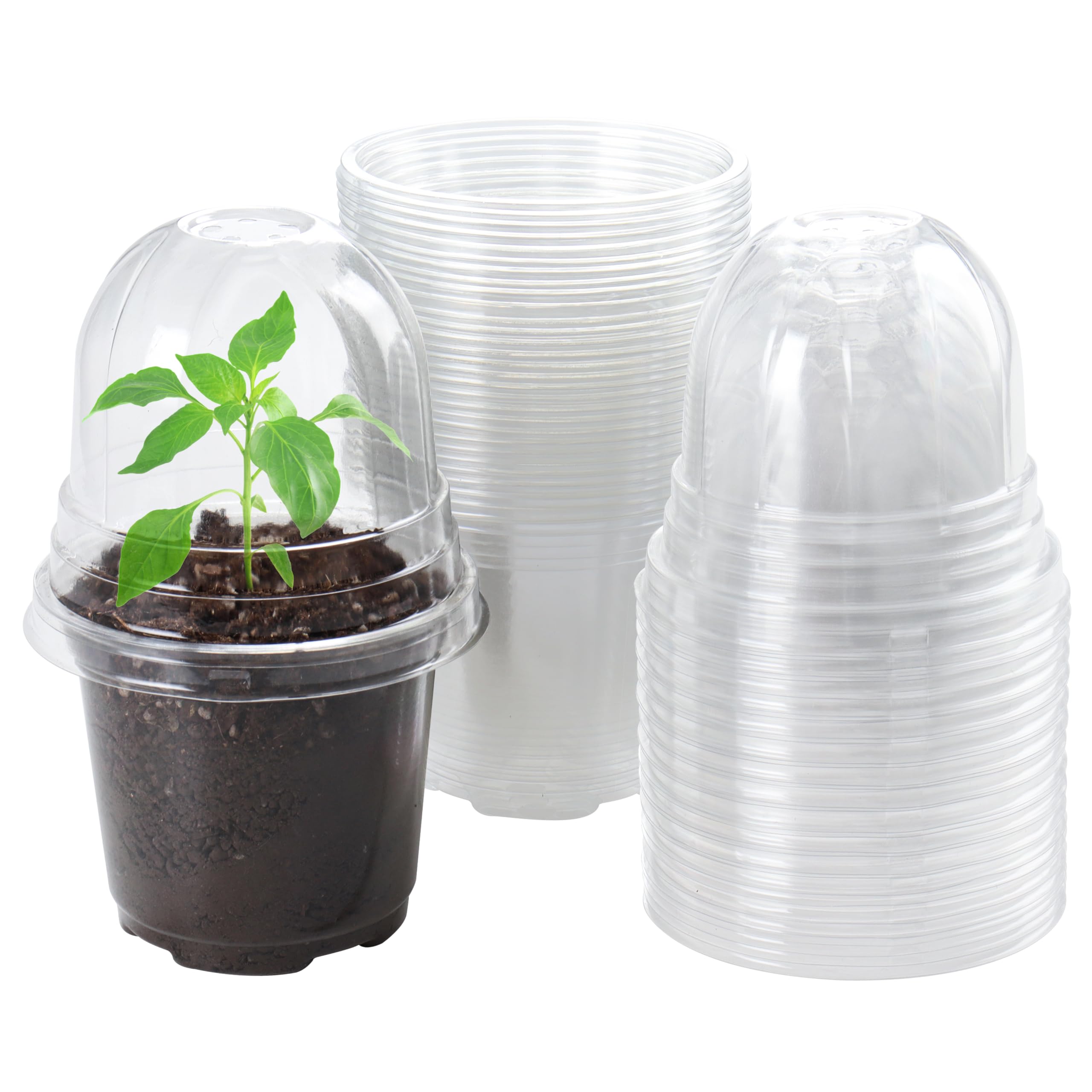 "30-Pack Clear Nursery Pots with Drainage"