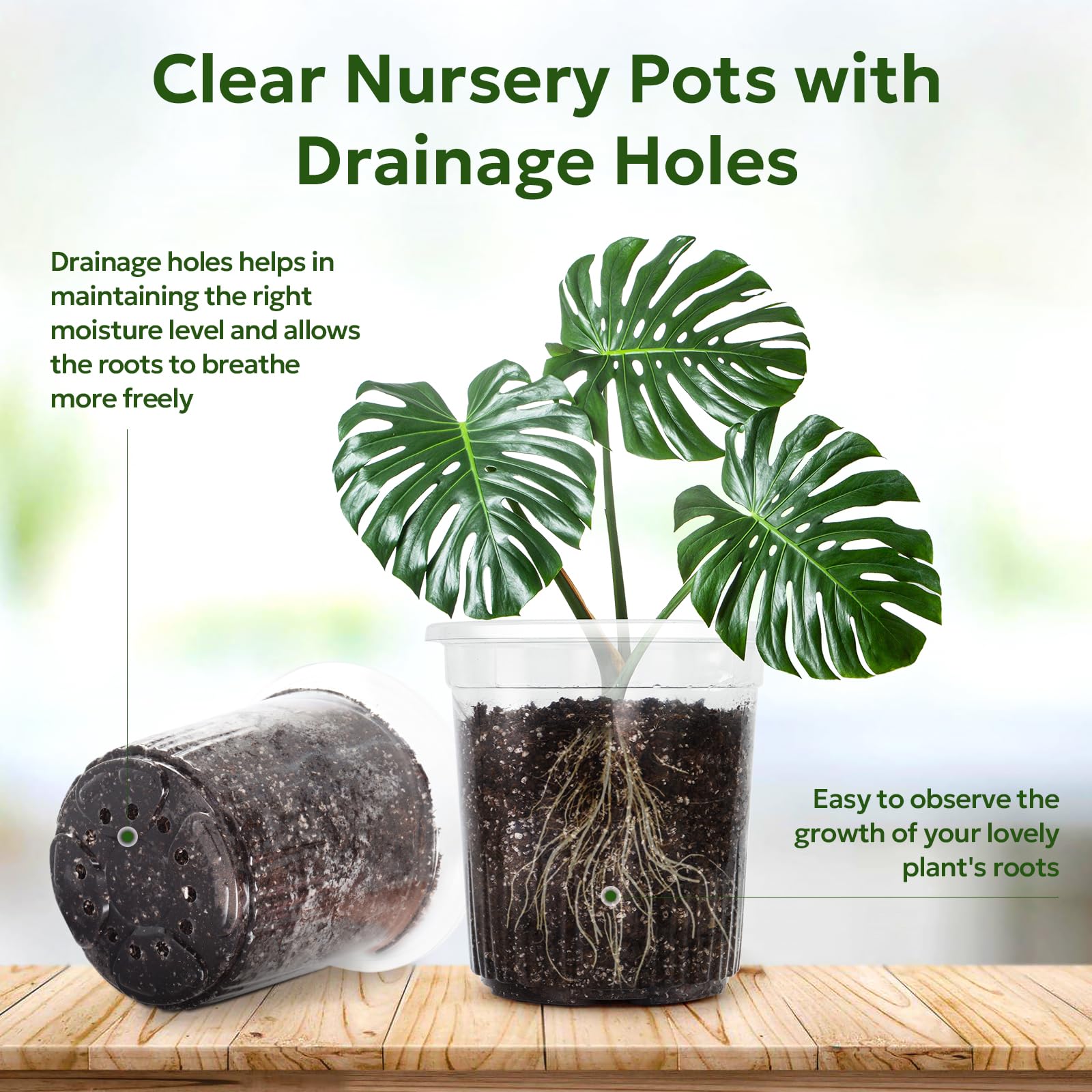 "30-Pack Clear Nursery Pots with Drainage"