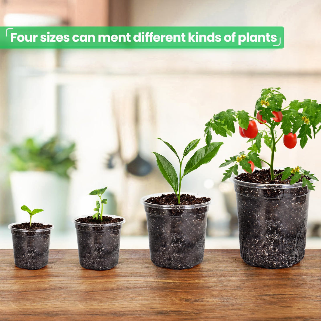 "30-Pack Clear Nursery Pots with Drainage"
