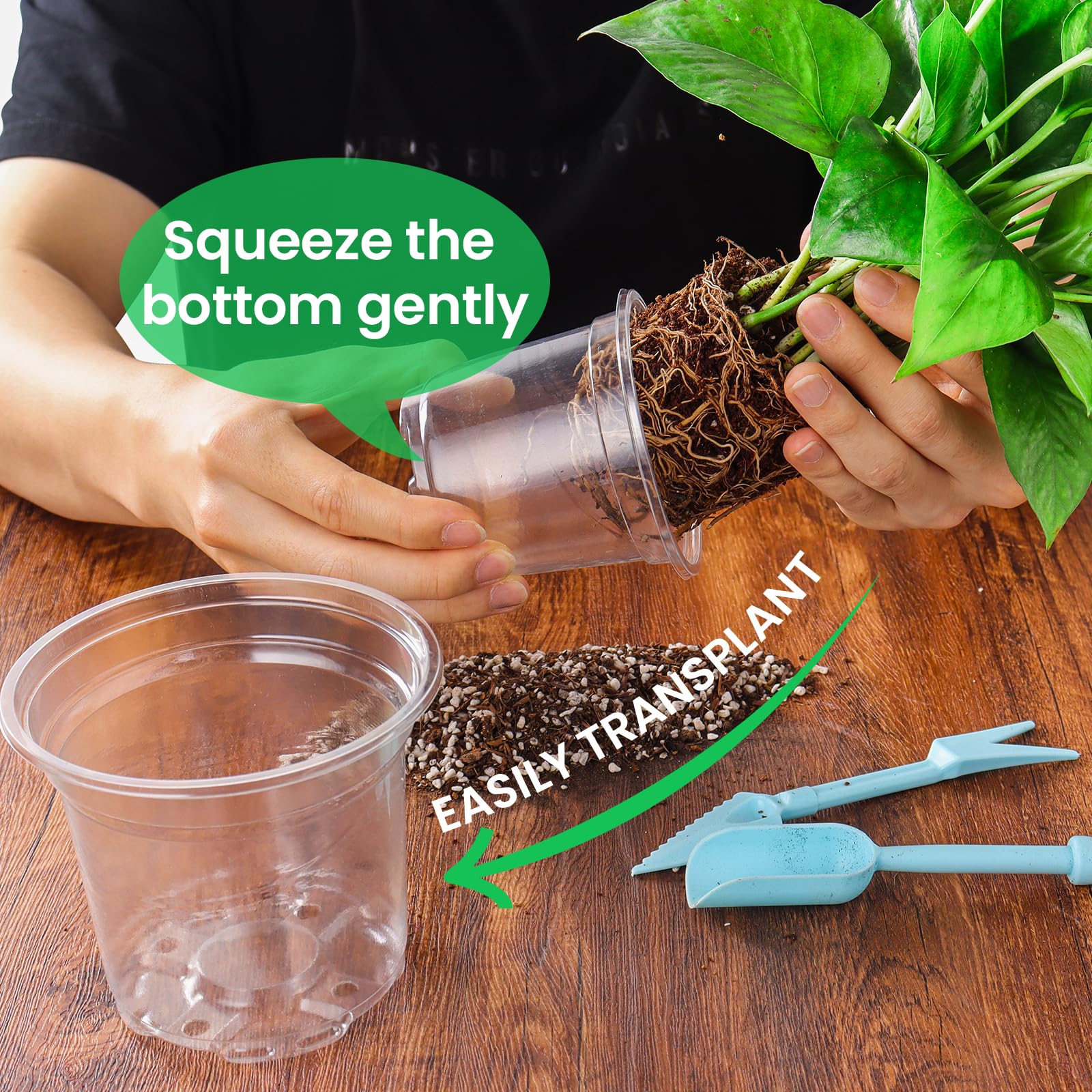 "30-Pack Clear Nursery Pots with Drainage"