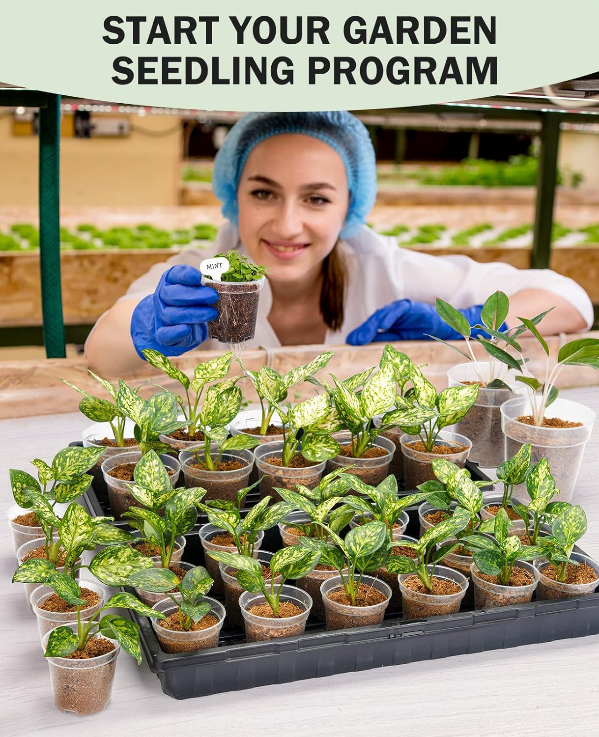 “Homenote 3" Clear Nursery Pots (60 Pack)”