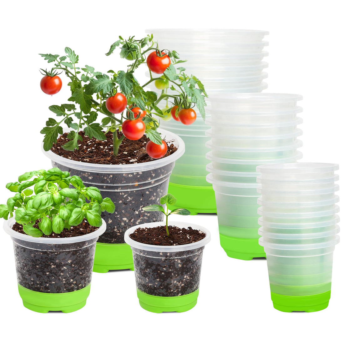 "30-Pack Clear Nursery Pots with Drainage"