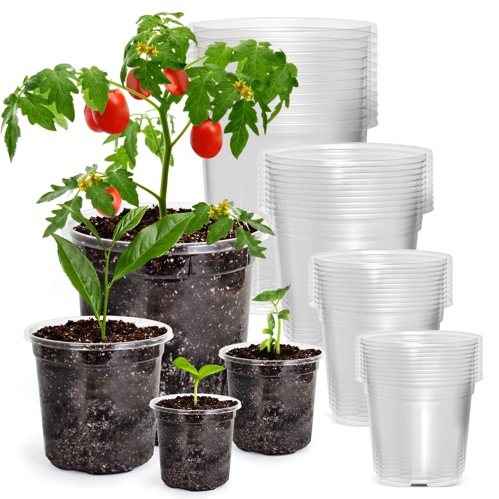 "30-Pack Clear Nursery Pots with Drainage"