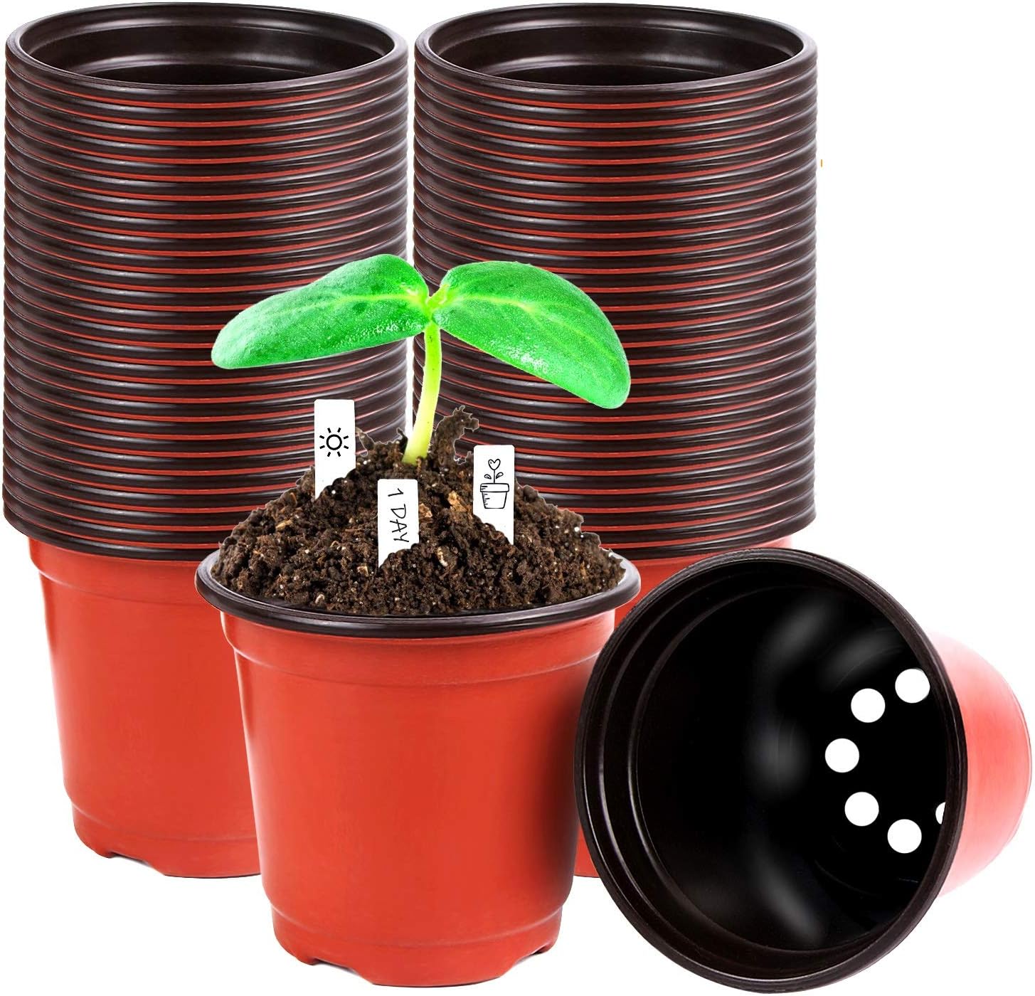 "Augshy 220 4” Plant Pots with Labels"