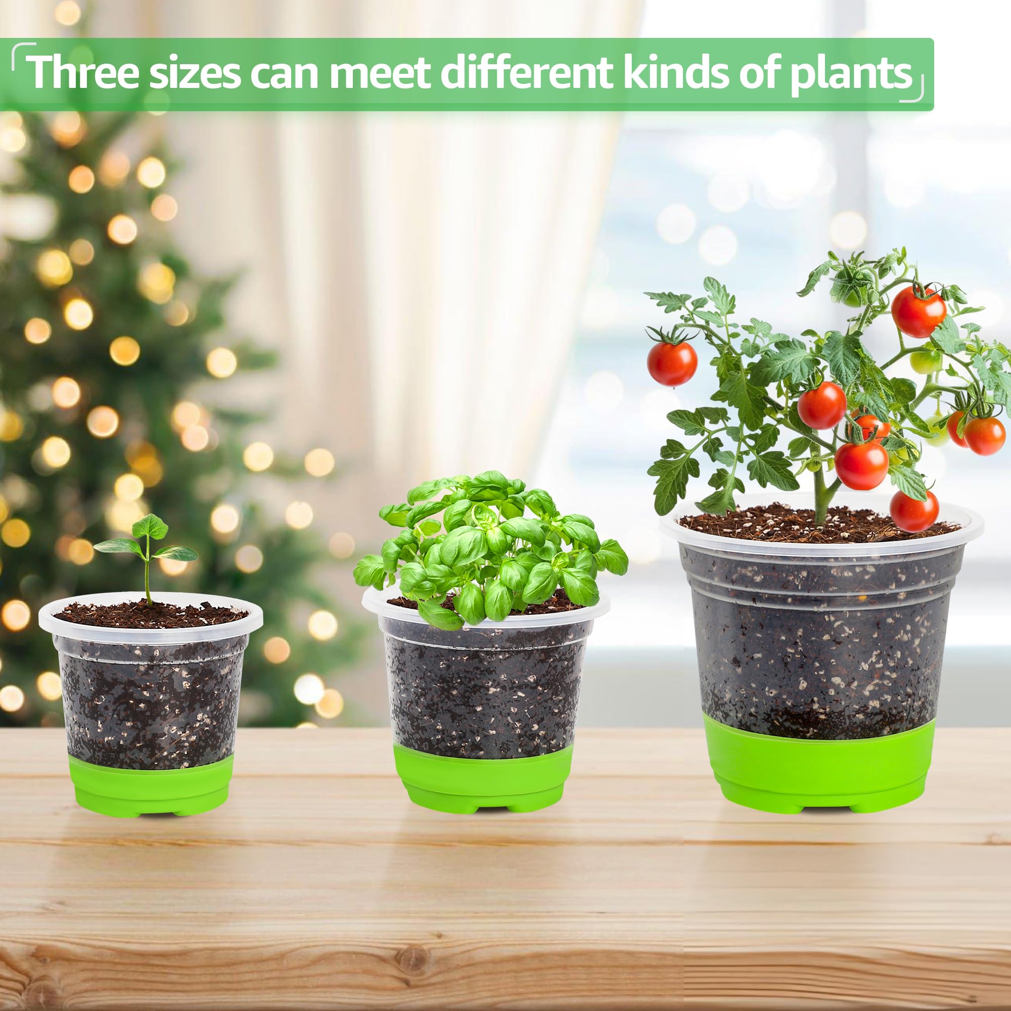 "30-Pack Clear Nursery Pots with Drainage"