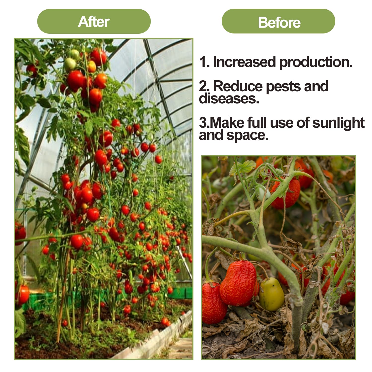 “40 Pack Tomato Roller Hooks Trellis Kit”