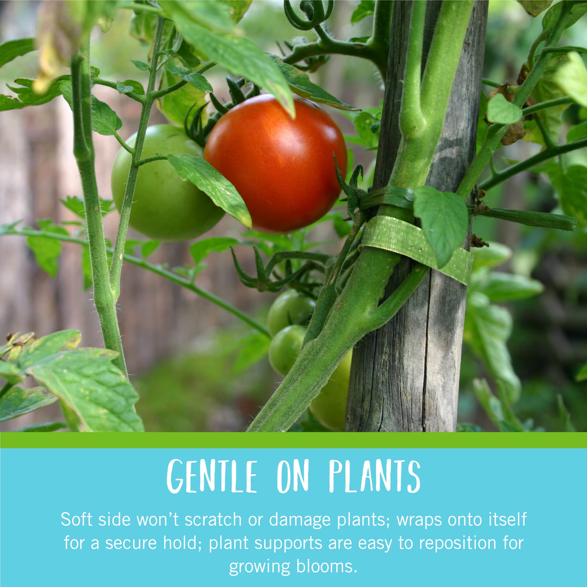 VELCRO Plant Ties, 75ft Green Tape