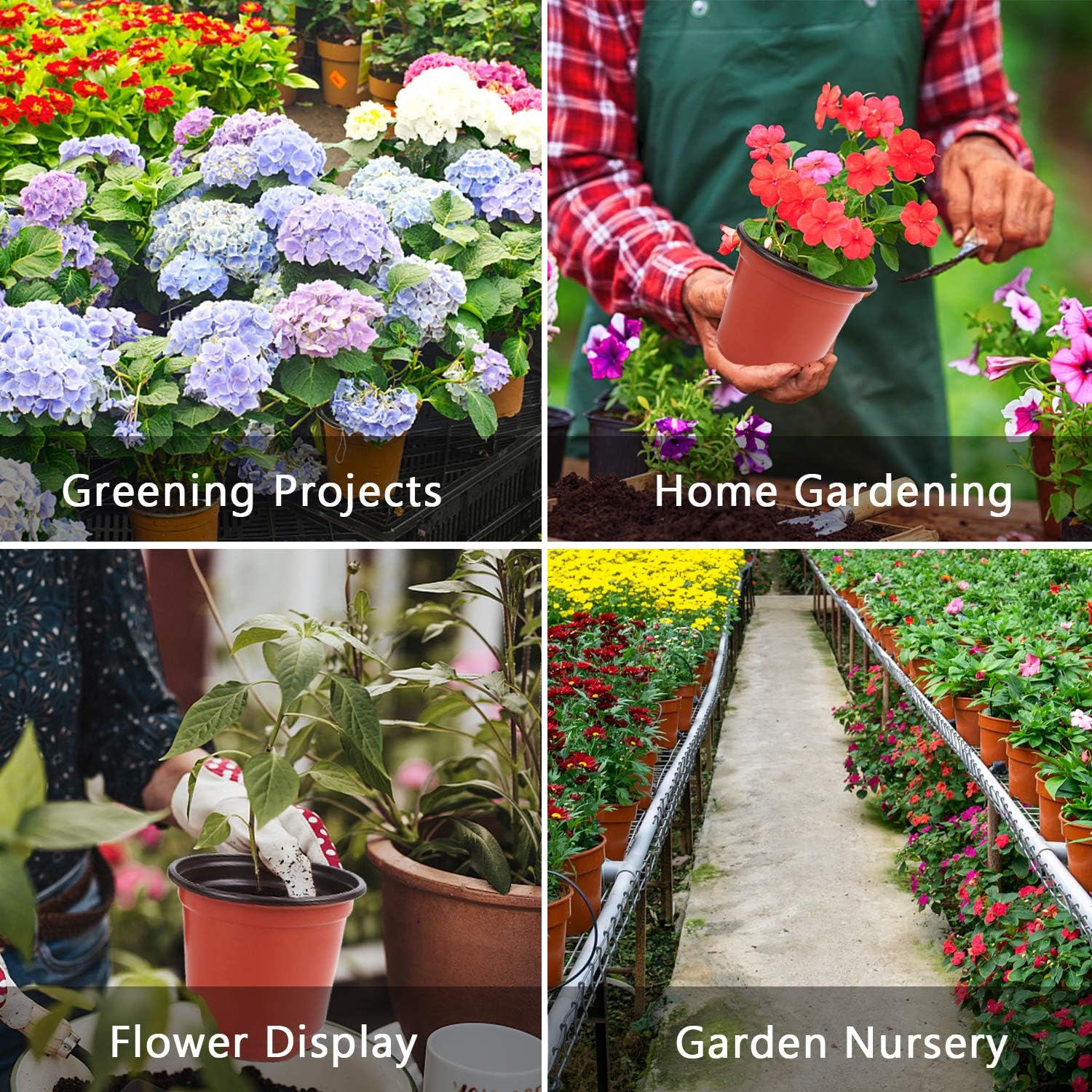 "Augshy 220 4” Plant Pots with Labels"