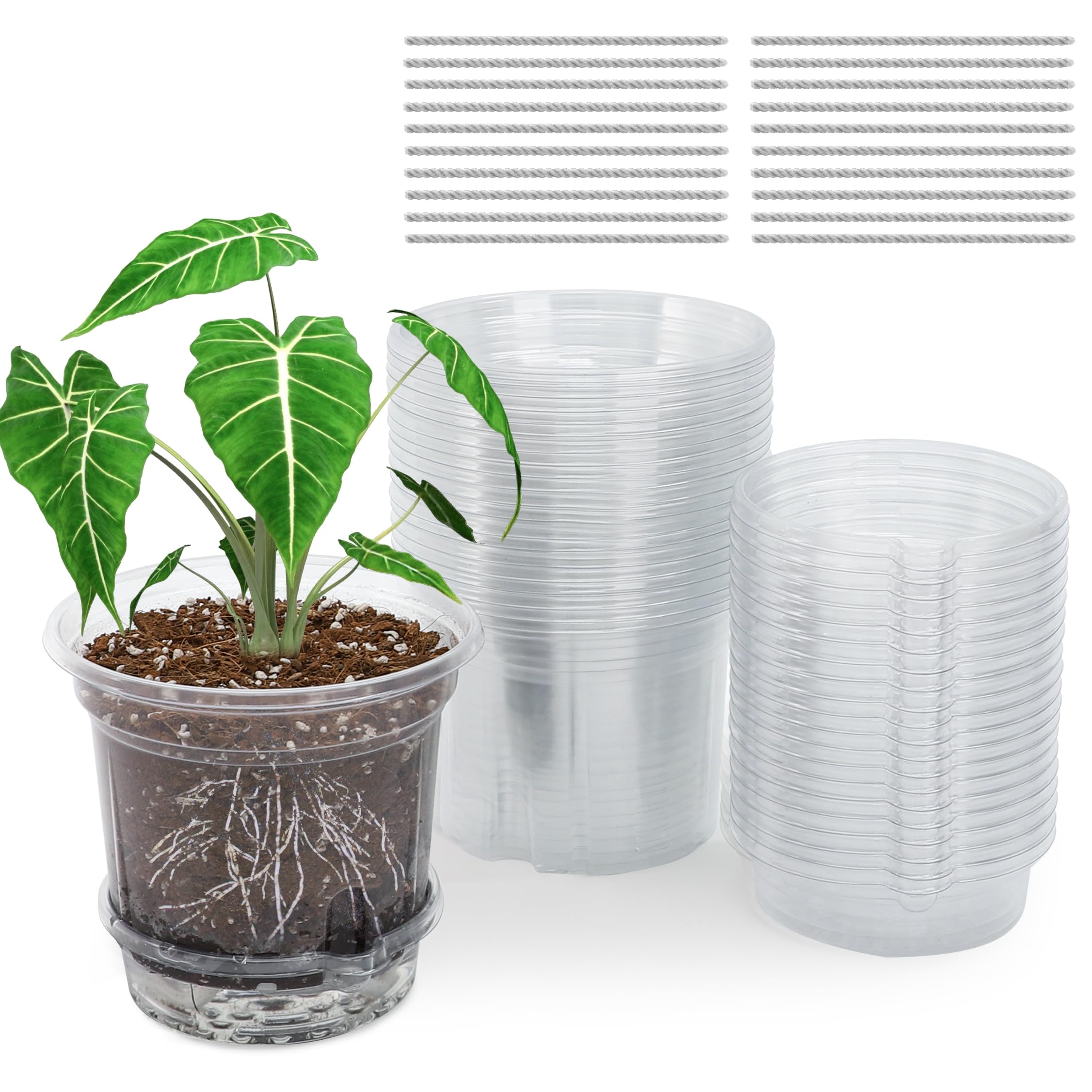 "30-Pack Clear Nursery Pots with Drainage"