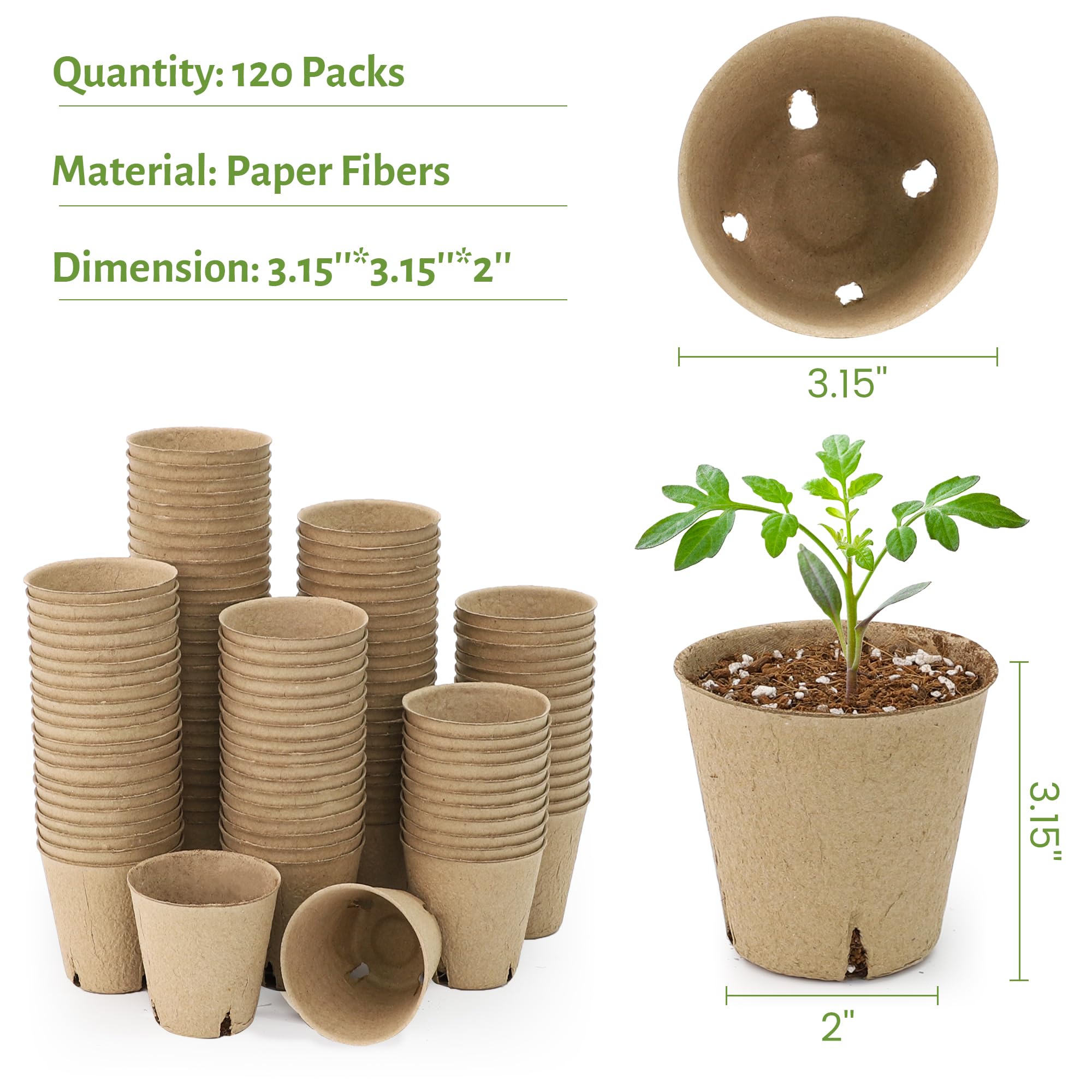 "30-Pack Clear Nursery Pots with Drainage"