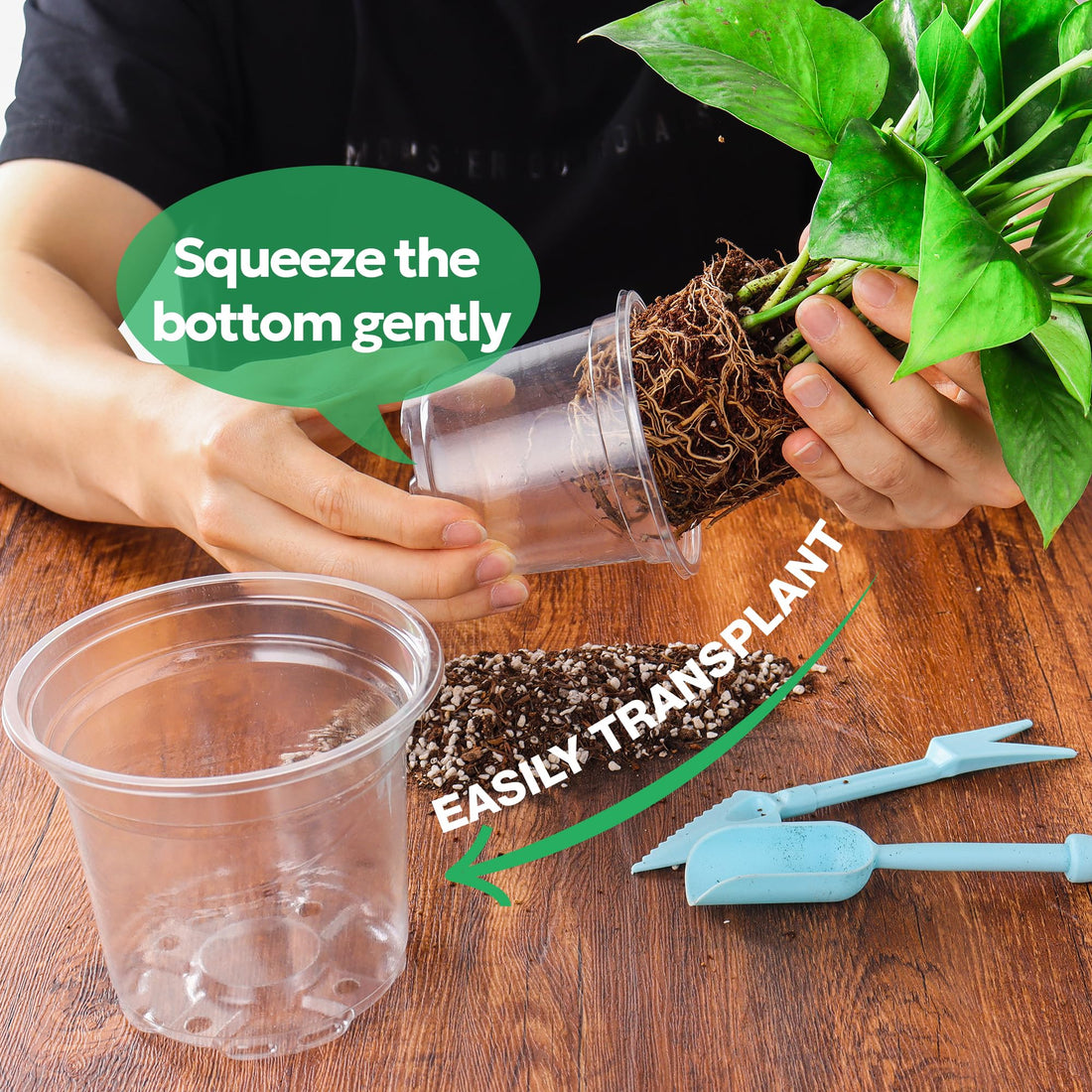 "30-Pack Clear Nursery Pots with Drainage"