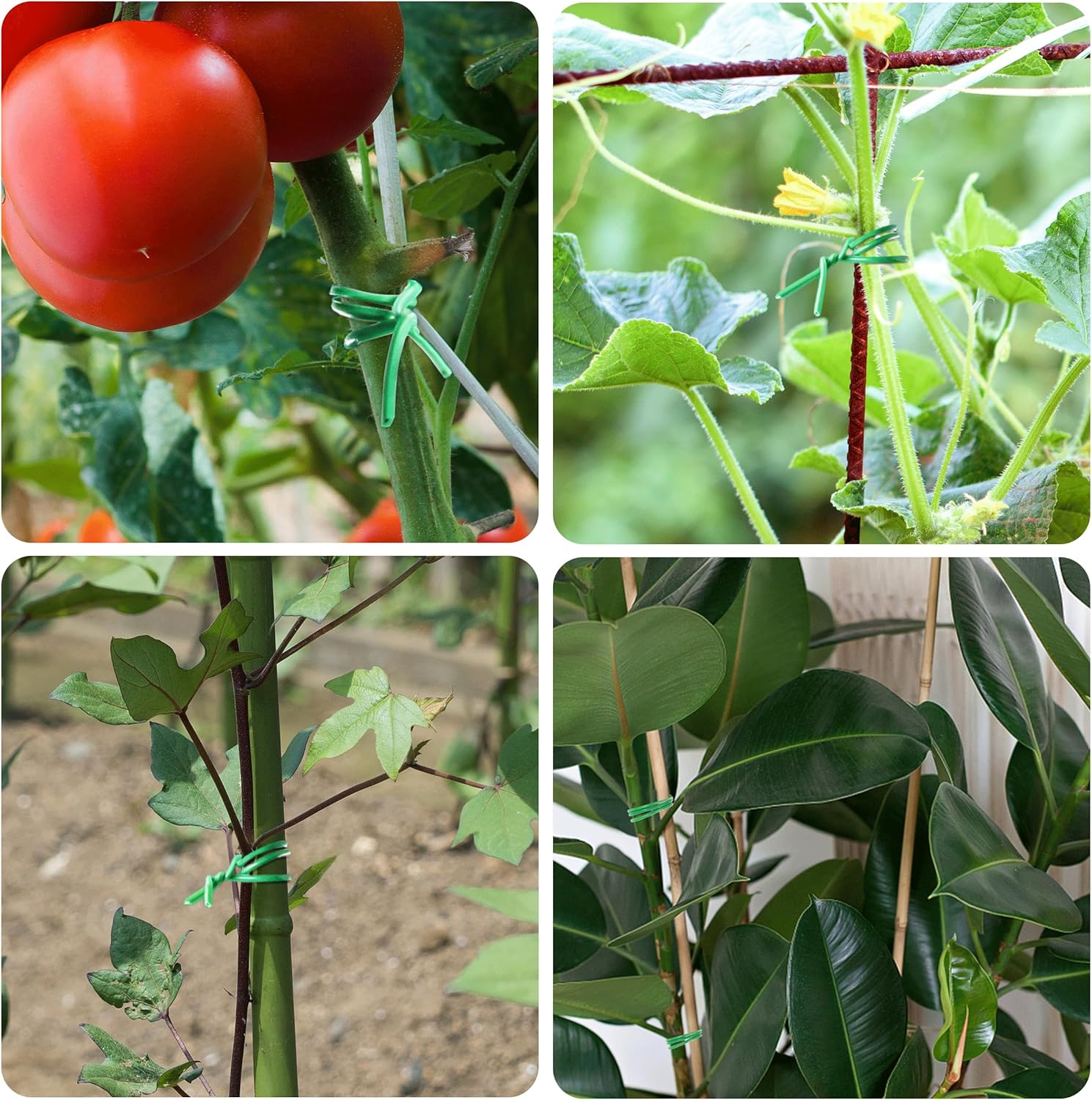 "Green Garden Twist Ties 656ft with Cutter"