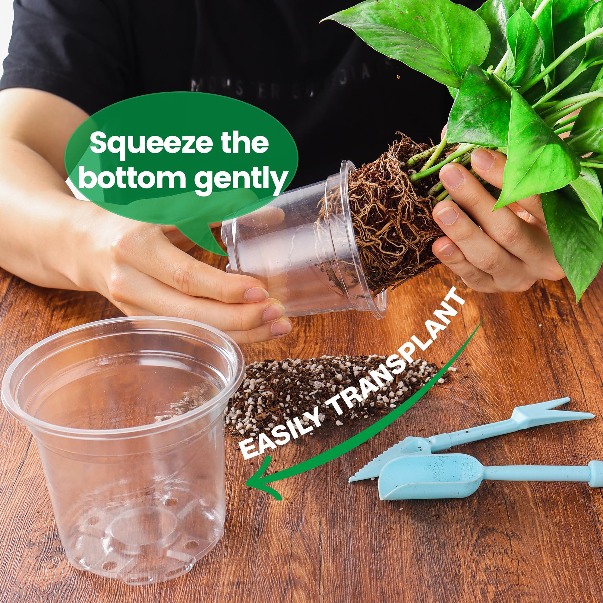 "30-Pack Clear Nursery Pots with Drainage"